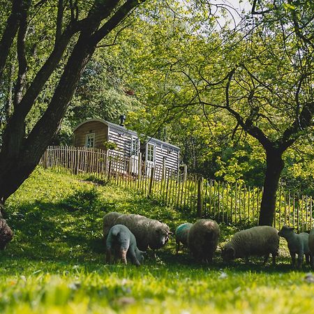 Somerset Shepherds Huts Winsham 외부 사진